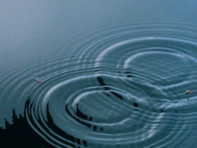 Water ripples creating a concentric pattern.